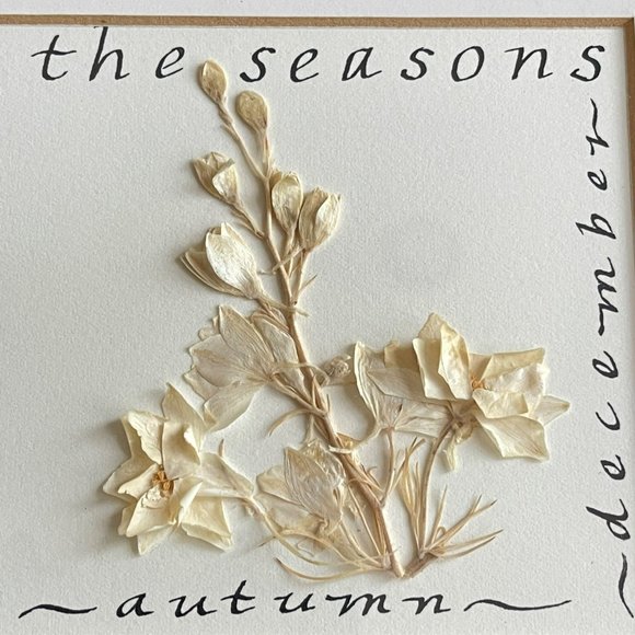 Shabby Dry Flowers in Frame Celebrate The Seasons‎ - Framed Floral Art Decor/ - Picture 6 of 16